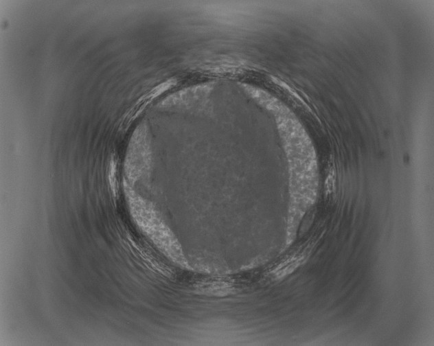 X0000081451156200702021735