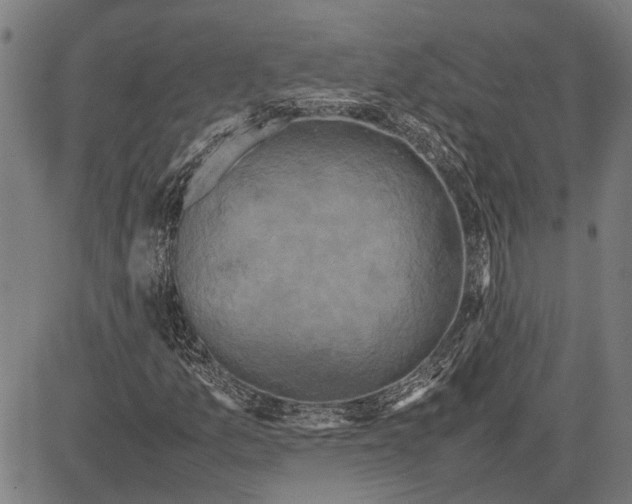 X0000081451157200702021735