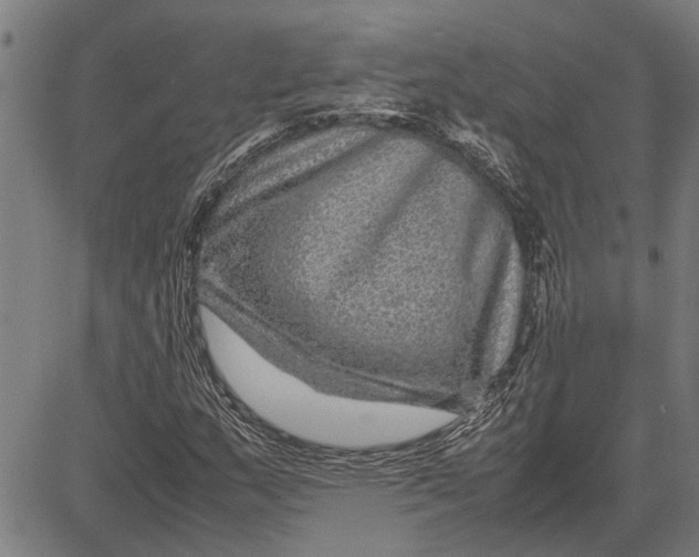 X0000081451159200702021735