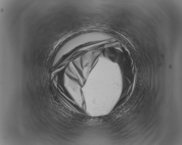 X0000081451160200702021735