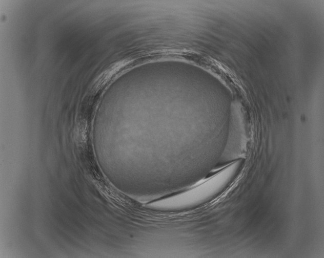 X0000081451161200702021735