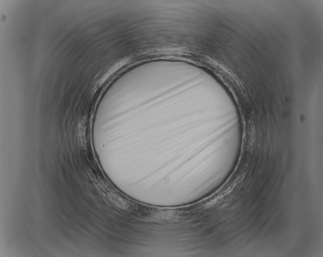 X0000081451162200702021735