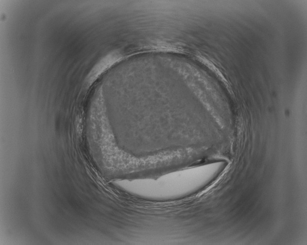 X0000081451163200702021735