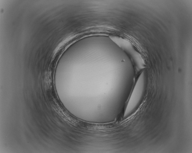 X0000081451164200702021735