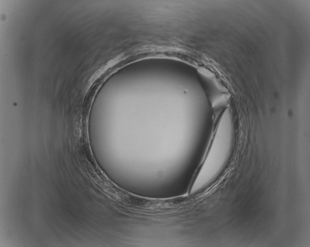 X0000081451165200702021735