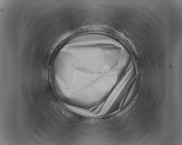 X0000081451166200702021735