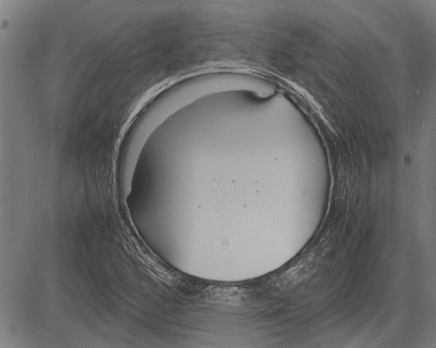 X0000081451168200702021735