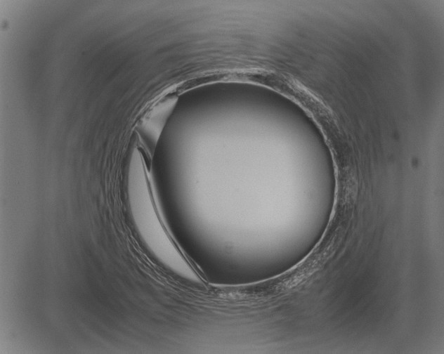 X0000081451169200702021735