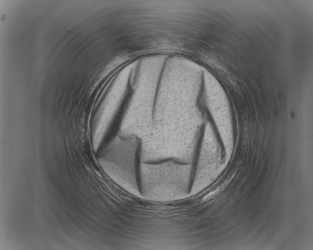 X0000081451170200702021735