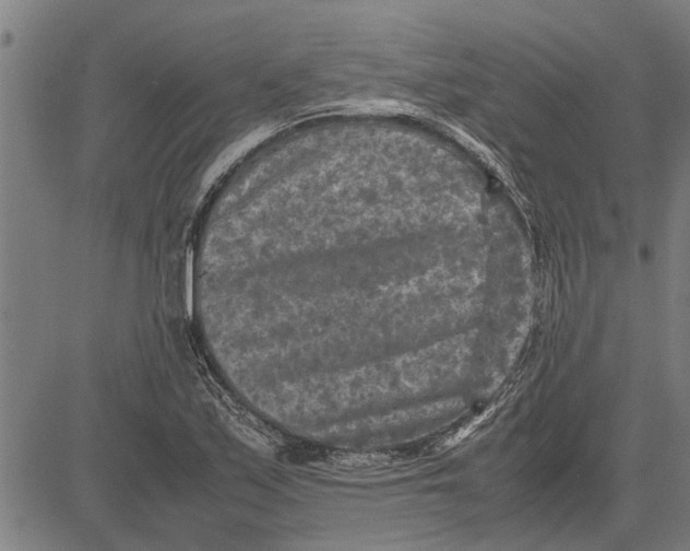 X0000081451171200702021735