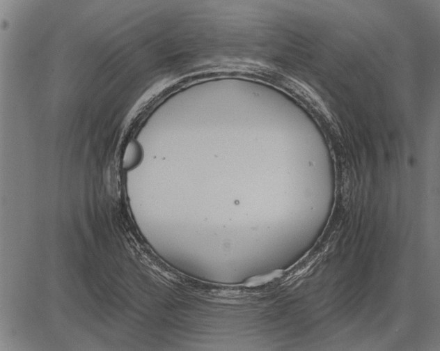 X0000081451172200702021735