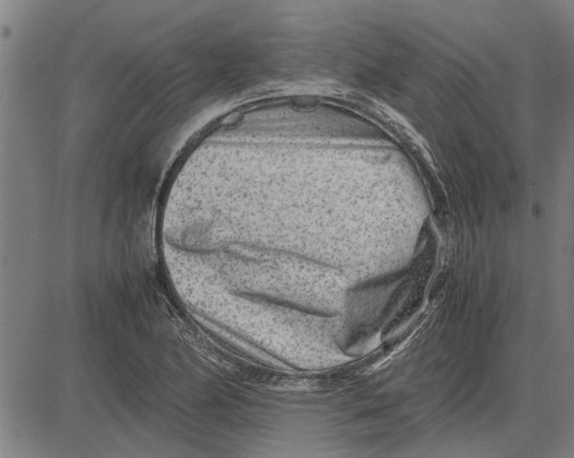 X0000081451174200702021735