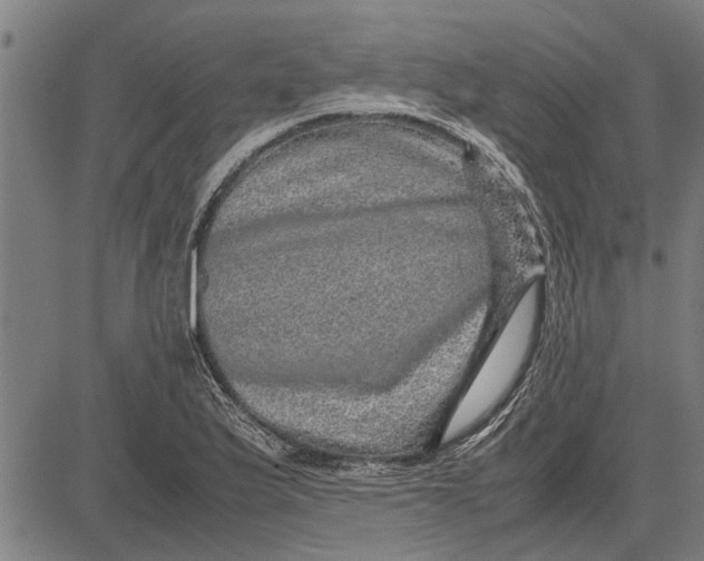 X0000081451175200702021735