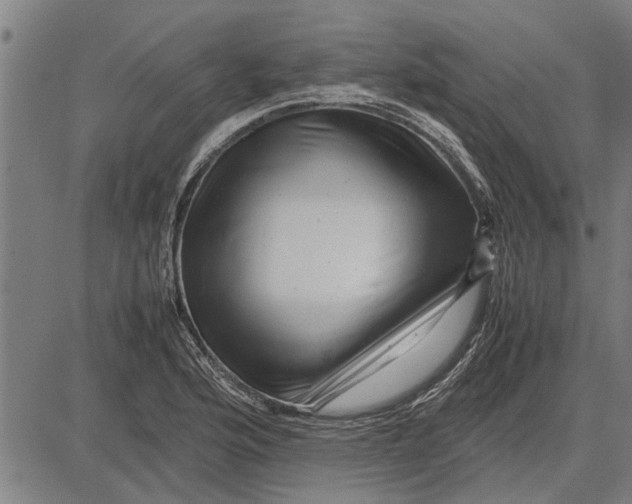 X0000081451176200702021735