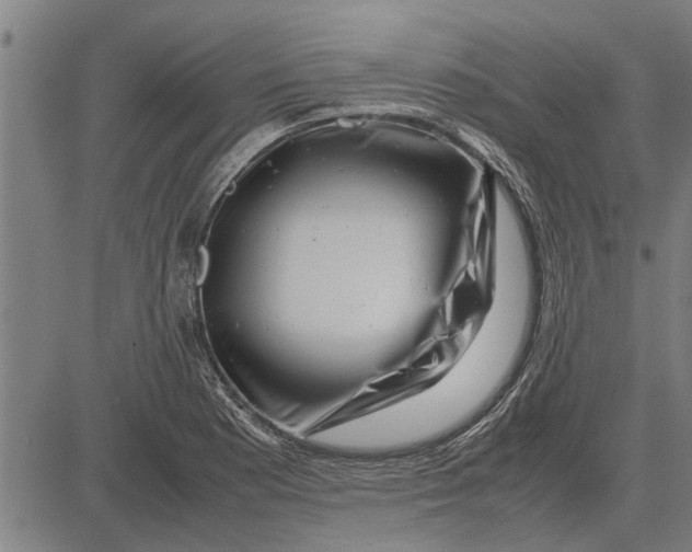 X0000081451177200702021735