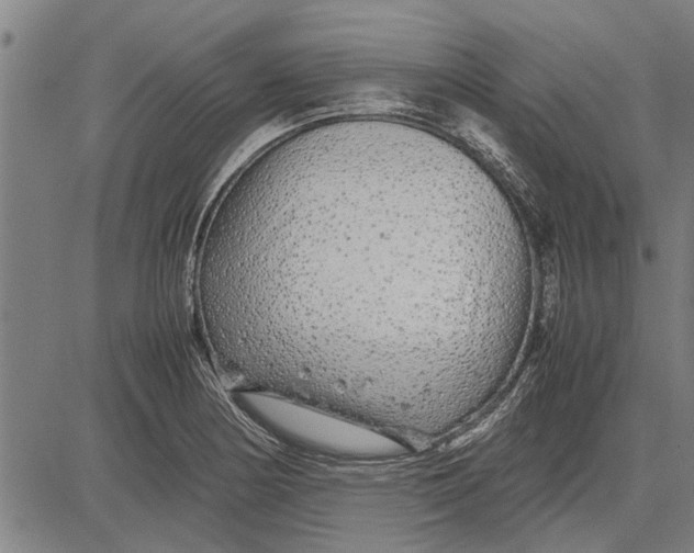 X0000081451178200702021735