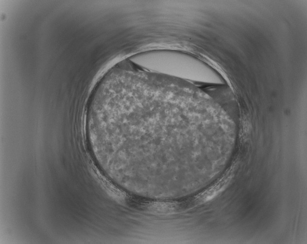 X0000081451179200702021735