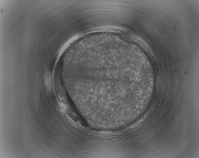 X0000081451180200702021735