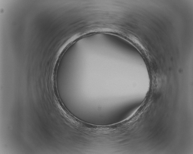 X0000081451181200702021735