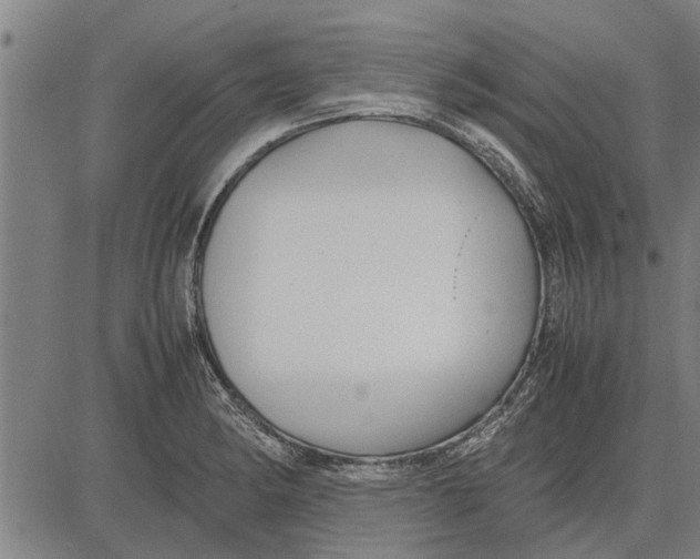 X0000081451182200702021735