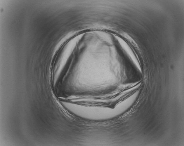 X0000081451183200702021735