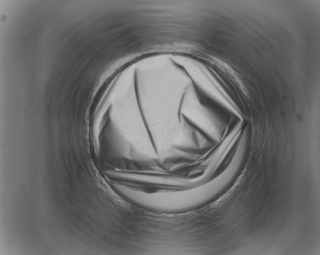 X0000081451184200702021735