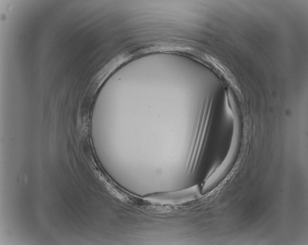 X0000081451185200702021735