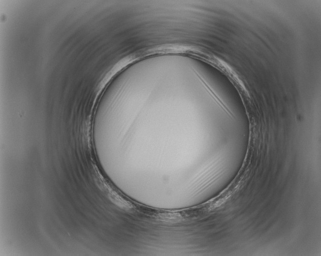 X0000081451186200702021735