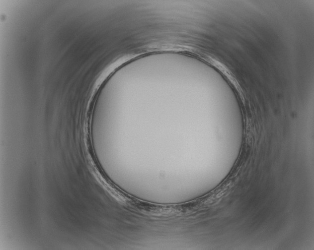 X0000081451187200702021734