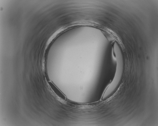 X0000081451188200702021734