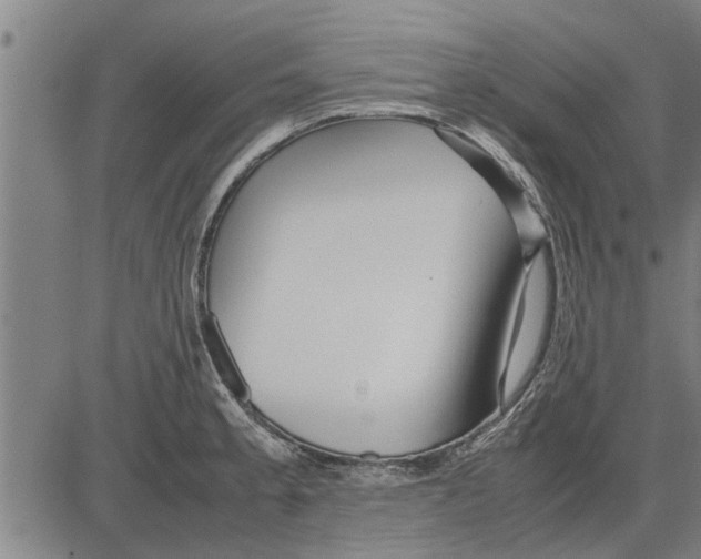 X0000081451189200702021734