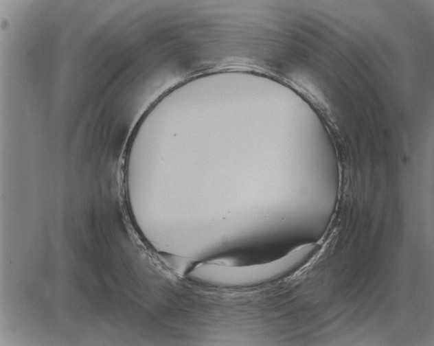 X0000081451190200702021734