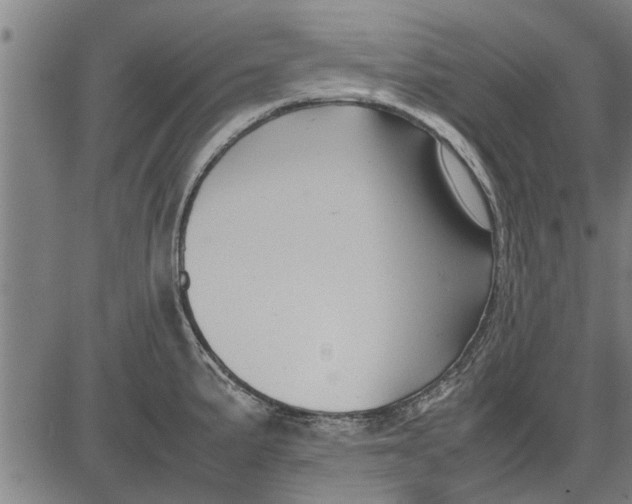 X0000081451191200702021734