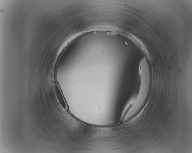 X0000081451192200702021734