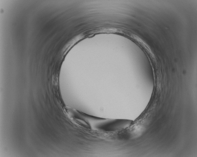 X0000081451193200702021734