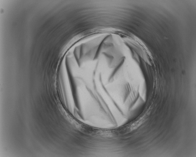 X0000081451194200702021734