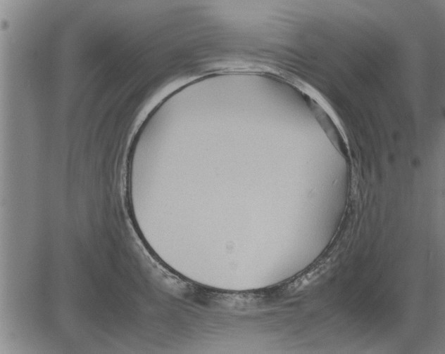 X0000081451195200702021734