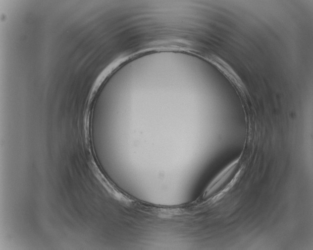 X0000081451196200702021734