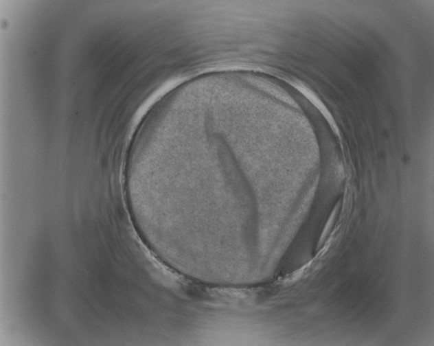 X0000081451197200702021734