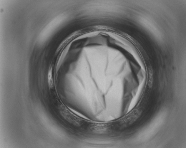 X0000081451198200702021734