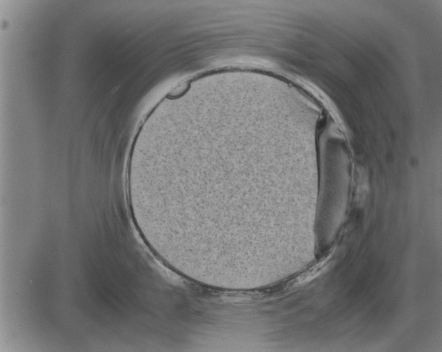 X0000081451199200702021734