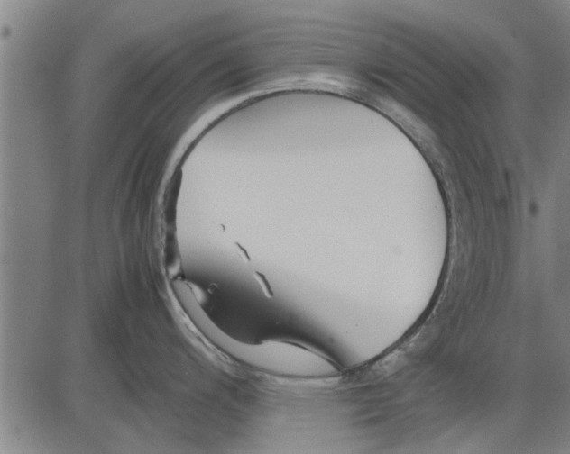 X0000081451200200702021734