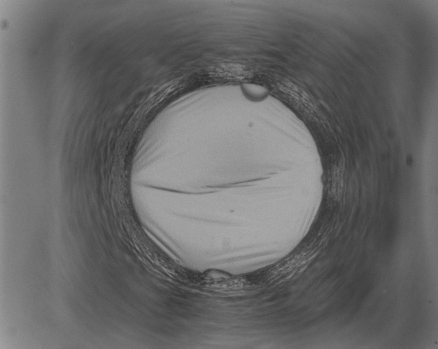 X0000081451201200702021733