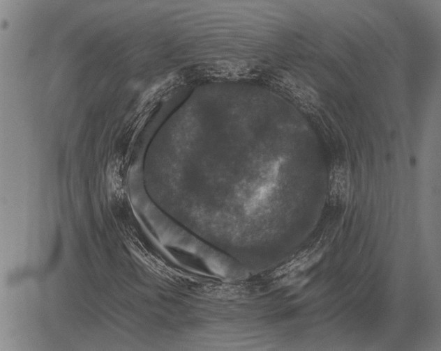 X0000081451202200702021734