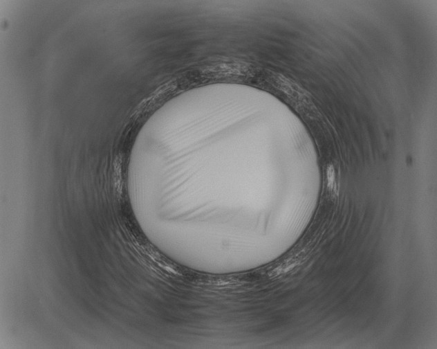 X0000081451203200702021734