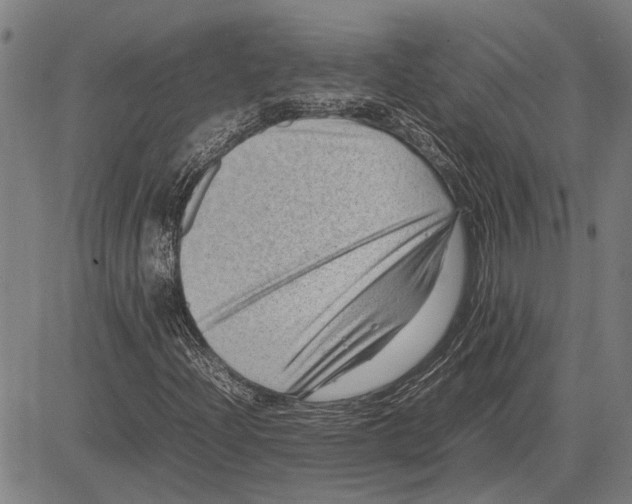 X0000081451204200702021734