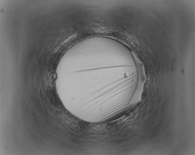 X0000081451205200702021734