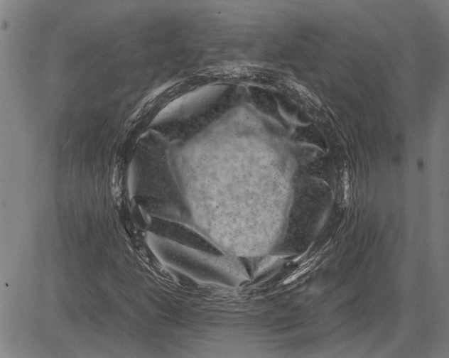 X0000081451206200702021734