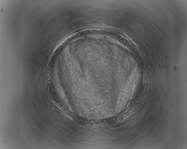 X0000081451208200702021734