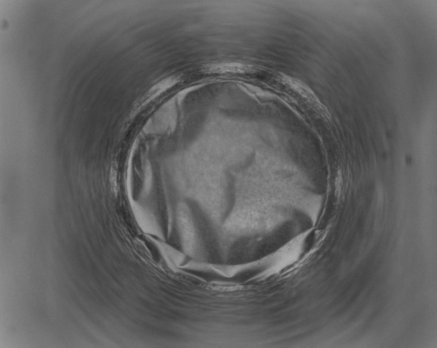 X0000081451209200702021734